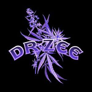 DRZANDCO LOGO 420 2 300x300