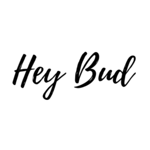 HeyBudSocial Logo Transparent Background 300x300