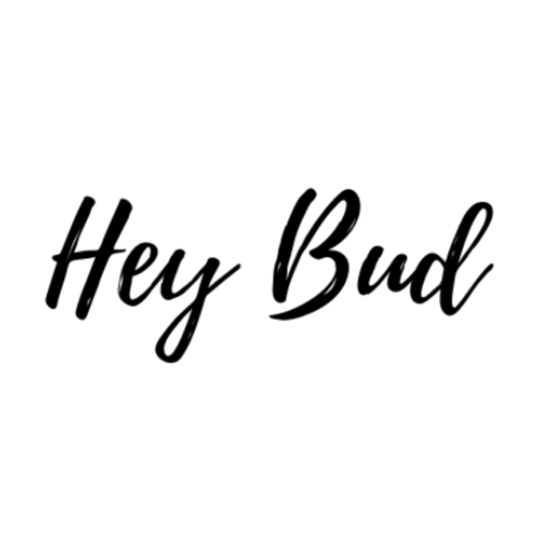 HeyBudSocial Logo Transparent Background 768x768