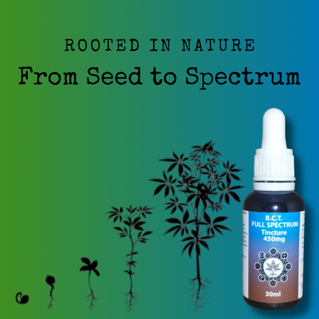 Seed to Spectrum 1024x1024